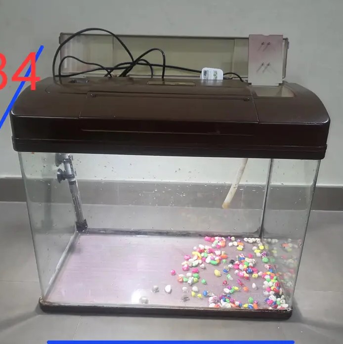 Fish Tank Good Condition